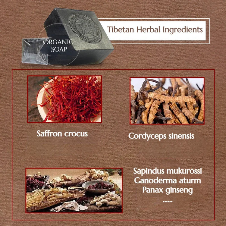 Sf736b1b1f0164b4e88c936554c142646c